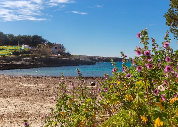 Aquarium קאלה בלנקה